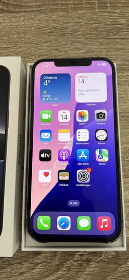iPhone 12 Pro Max