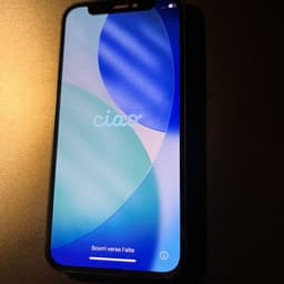 iPhone 12 Mini 64 GB Olåst