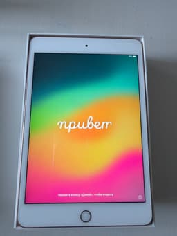 Apple iPad mini (5:e generationen) 256GB