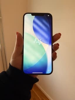 iPhone 12 Pro Max 128GB