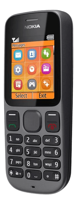 Nokia 100