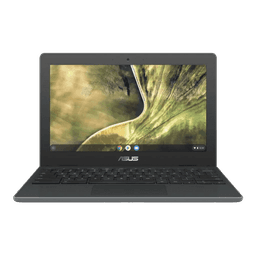 ASUS Chromebook C204MA - Grå - Intel Celeron N4000 - 32 GB - 4 GB - Bra skick