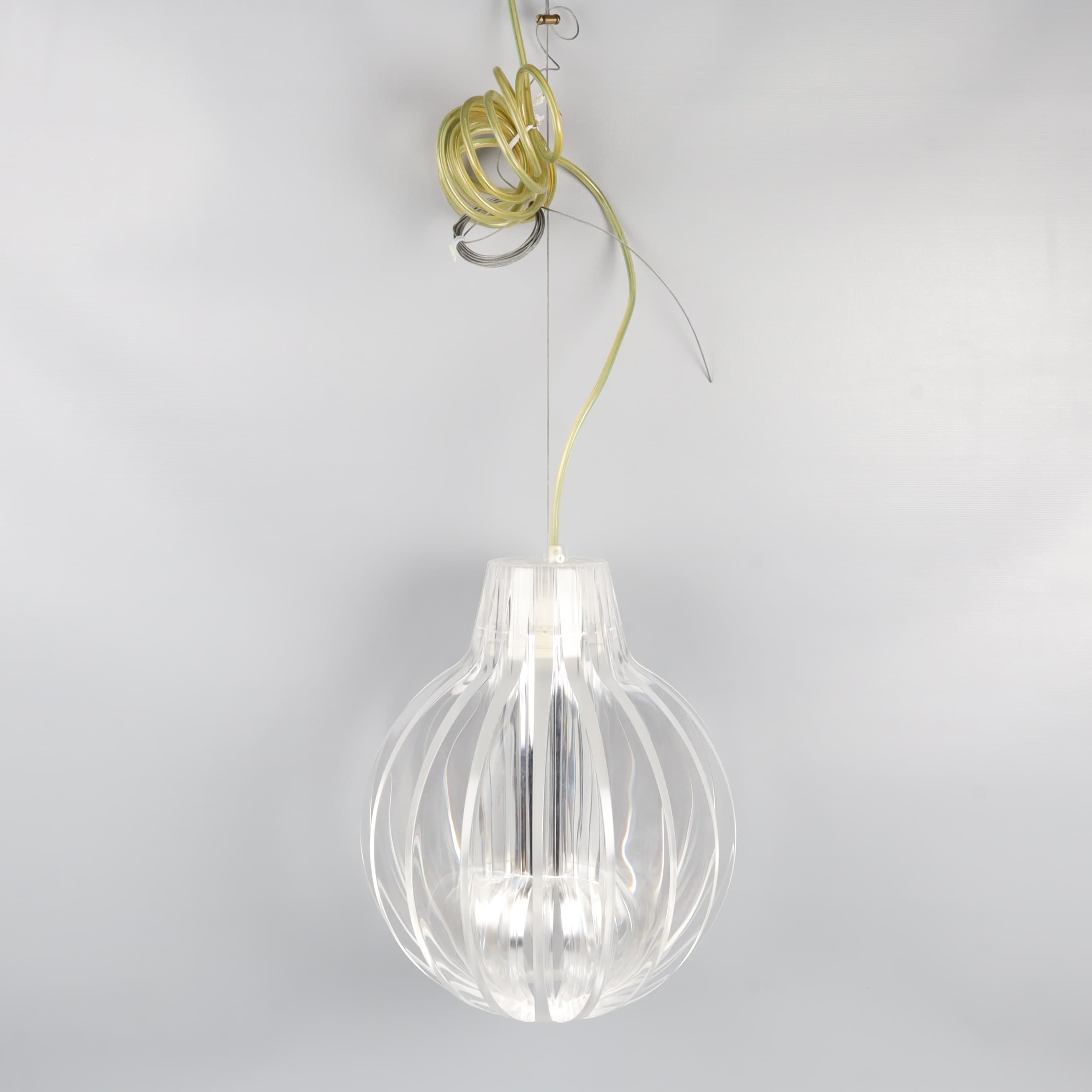 Luceplan Agave Takpendel