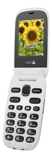Doro 6031