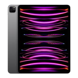 iPad Pro 12.9" Wi-Fi + Cellular M2 (6th Gen) 128GB Space Gray