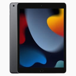 iPad 2021 (9th Gen) 10.2" 64GB Wi-Fi + 4G Space Gray  |Som ny|