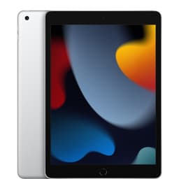 iPad 2021 (9th Gen) 10.2" 64GB WiFi + 4G Silver  |Som ny|